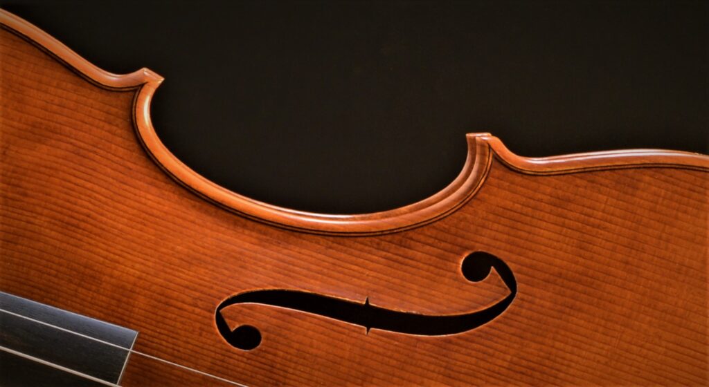 Small Viola by David Finck