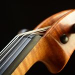 Violin by David Finck - Nut