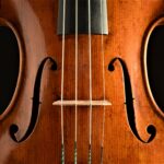 Violin by David Finck - F-holes