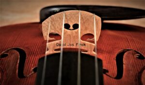 David Finck Violin Bridge - Audition and Purchase