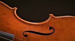 Viola by David Finck - Fs and Corner