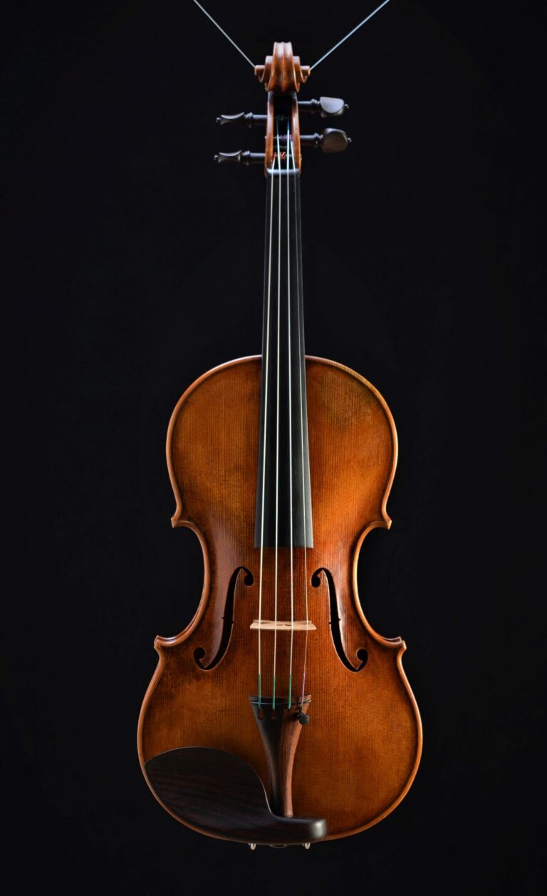 Violin by David Finck - Front