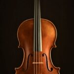 Op 35 Full Front Viola by David Finck