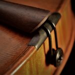 Op 35 Saddle Viola by David Finck