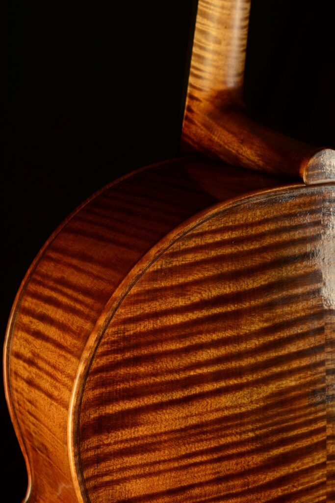 Cello by David Finck -- Back Detail