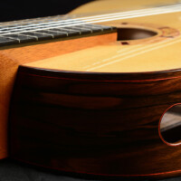 Classical Guitar by David Finck Soundport