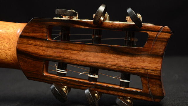 Classical Guitar by David Finck Headstock