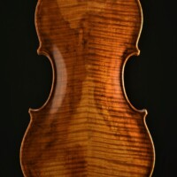 Violin by David Finck - Back