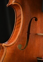 Viola by David Finck - Corners