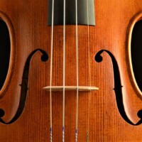 Violin by David Finck - Top F-holes