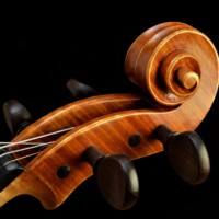 Violin by David Finck - Scroll 3-4