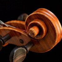Violin by David Finck - Scroll Eye