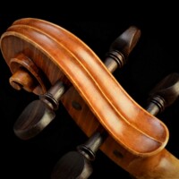 Violin by David Finck - Scroll Back