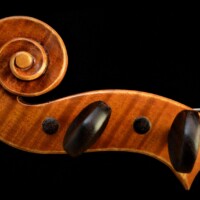Violin by David Finck - Scroll Bass Side