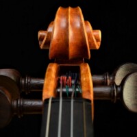 Violin by David Finck - Scroll Front