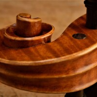 Violin by David Finck - Scroll Horizontal