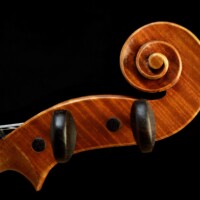 Violin by David Finck - Scroll Treble Side