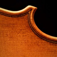Violin by David Finck - Upper Bout Corner Top