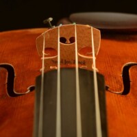 Violin by David Finck - Bridge