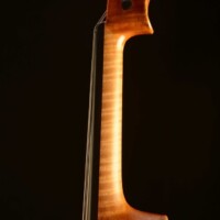 Violin by David Finck - Neck