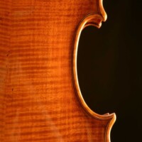 Violin by David Finck - Back Bass C-bout