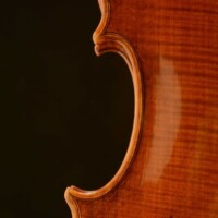 Violin by David Finck - Back Treb C-bout