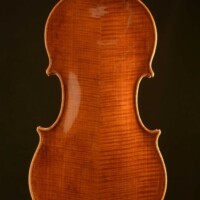 Violin by David Finck - Back