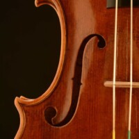Violin by David Finck - Bass F