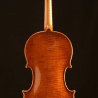 Violin by David Finck - Full Back