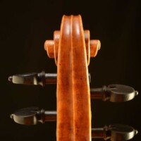 Violin by David Finck - Scroll Back