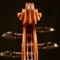 Violin by David Finck - Scroll Back