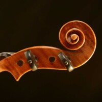 Violin by David Finck - Scroll Treb Side