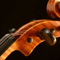 Violin by David Finck - Scroll 3-4