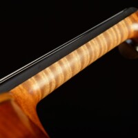 Violin by David Finck - Neck