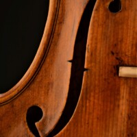 Violin by David Finck - F-hole