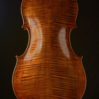 Cello by David Finck -- Back Cello by David Finck -- Back