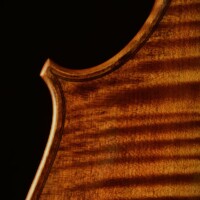 Cello by David Finck -- Back Corner