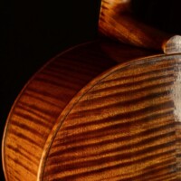 Cello by David Finck -- Back Detail