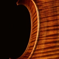 Cello by David Finck -- Back Corners