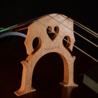 Cello by David Finck -- Bridge - French Hybrid