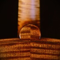 Cello by David Finck -- Button