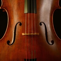 Cello by David Finck -- F-holes