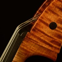 Cello by David Finck -- Nut