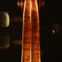Cello by David Finck -- Scroll Back