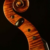 Cello by David Finck -- Scroll Bass Side