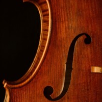 Cello by David Finck -- Bass F