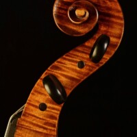 Cello by David Finck -- Scroll Treble Side