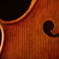 Cello by David Finck -- Bass F Detail