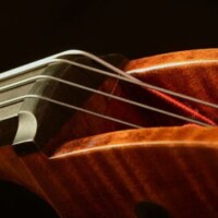 Op 44 Cello 6 by David Finck -- Nut