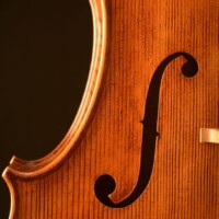 Op44 Cello 6 by David Finck -- Bass F-hole